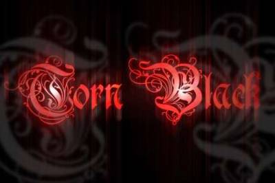 logo Torn Black